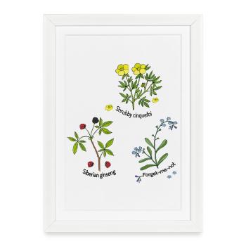 Herbes naturelles - Affiche encadrée (27 × 37 cm) - blanc - Devant