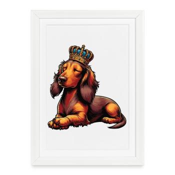 Teckel à poil long Teckel Teckel Teckel - Affiche encadrée (27 × 37 cm) - blanc - Devant