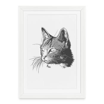 Chat - Affiche encadrée (27 × 37 cm) - blanc - Devant