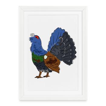 Grand tétras coloré au plumage coloré - Affiche encadrée (27 × 37 cm) - blanc - Devant