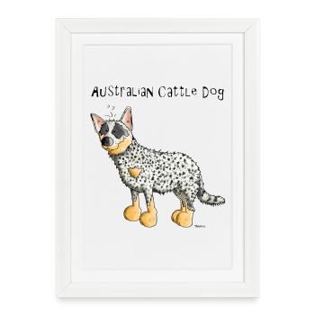 Bouvier Australien - Australian Cattle Dog - Affiche encadrée (27 × 37 cm) - blanc - Devant