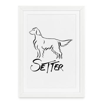 Setter debout - Affiche encadrée (27 × 37 cm) - blanc - Devant