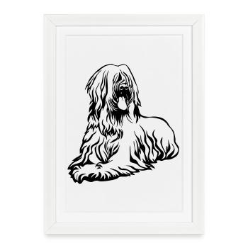 Briard - Affiche encadrée (27 × 37 cm) - blanc - Devant