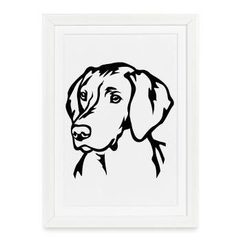 Magyar Vizsla Head - Framed poster (27 × 37 cm) - white - Front