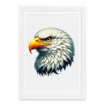 Aigle - Affiche encadrée (27 × 37 cm) - blanc - Devant