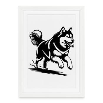 Malamute d’Alaska - Affiche encadrée (27 × 37 cm) - blanc - Devant