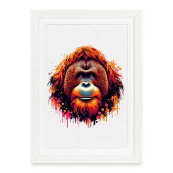 Singe orang-outan - Affiche encadrée (27 × 37 cm) - blanc - Devant