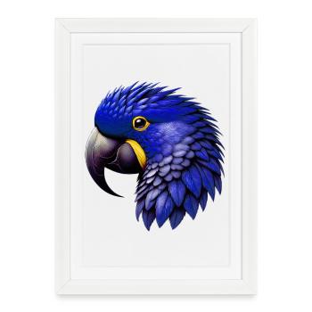 Perroquet - Affiche encadrée (27 × 37 cm) - blanc - Devant