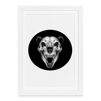 Skull - Framed poster (27 × 37 cm) - white - Front