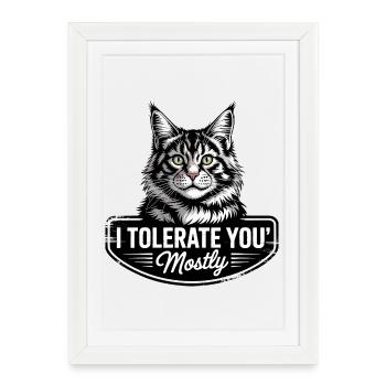Chat tolérant - Affiche encadrée (27 × 37 cm) - blanc - Devant