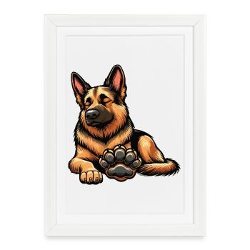 Berger allemand Chiens de berger Chiens de berger - Affiche encadrée (27 × 37 cm) - blanc - Devant