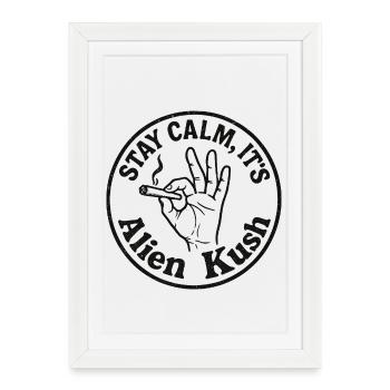 Stay Calm Alien Kush – design weed humour - Affiche encadrée (27 × 37 cm) - blanc - Devant