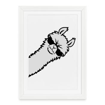 Llama Angry Looking Side Sunglasses Cool Sour - Framed poster (27 × 37 cm) - white - Front