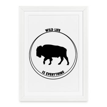 Buffalo wild life - Affiche encadrée (27 × 37 cm) - blanc - Devant