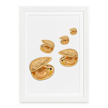 Decorative Shells - Framed poster (27 × 37 cm) - white - Front