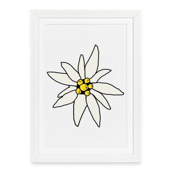 Cabanes fleuries Edelweiss Chalet, souvenir alpin vintage - Affiche encadrée (27 × 37 cm) - blanc - Devant