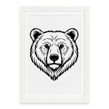 Illustration d’ours - Affiche encadrée (27 × 37 cm) - blanc - Devant