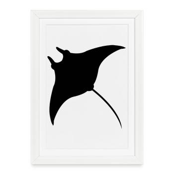 Manta Ray - Framed poster (27 × 37 cm) - white - Front