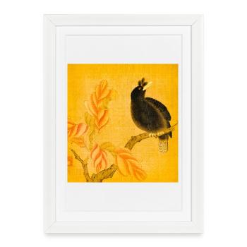 Oiseau chanteur noir sur fleurs jaunes - Affiche encadrée (27 × 37 cm) - blanc - Devant
