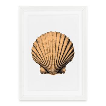 Sea Shell - Framed poster (27 × 37 cm) - white - Front