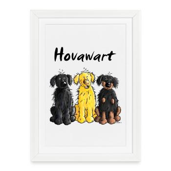 Hovawart – Hovi – Chien – Tee Shirt - Affiche encadrée (27 × 37 cm) - blanc - Devant