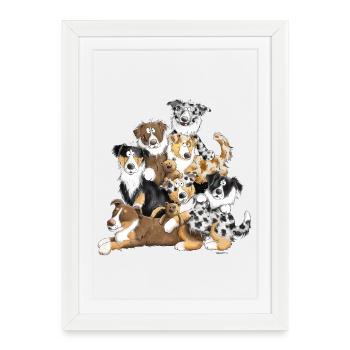 Tas de chien de berger australien I chiens australiens - Affiche encadrée (27 × 37 cm) - blanc - Devant