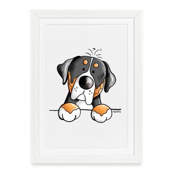 Grand bouvier suisse - Chien - Chiens - Affiche encadrée (27 × 37 cm) - blanc - Devant