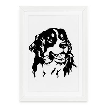 Bernese Mountain Dog head - Framed poster (27 × 37 cm) - white - Front