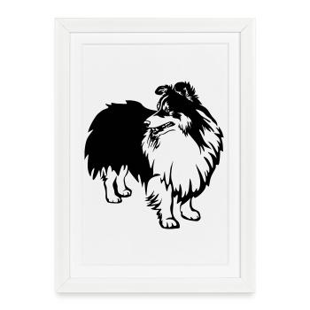 Sheltie - Framed poster (27 × 37 cm) - white - Front