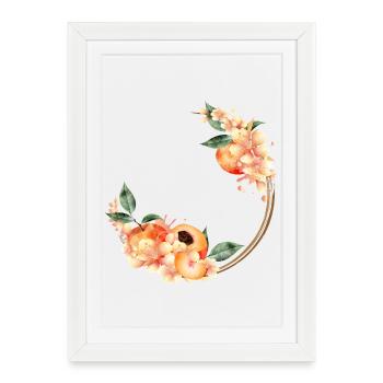 Moitié de pêche, pêches, fleurs de pêcher en couronne - Affiche encadrée (27 × 37 cm) - blanc - Devant