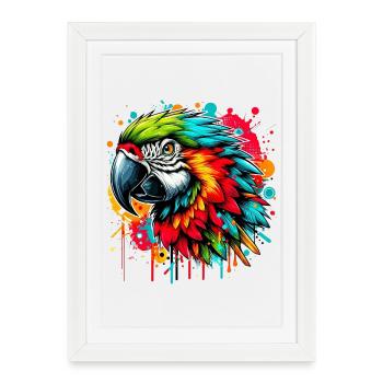 Perroquet - Affiche encadrée (27 × 37 cm) - blanc - Devant