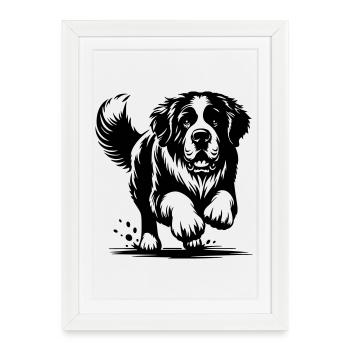 Saint-bernard - Affiche encadrée (27 × 37 cm) - blanc - Devant