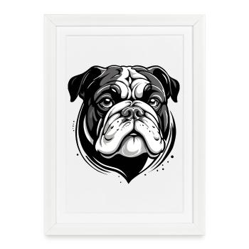 bouledogue - Affiche encadrée (27 × 37 cm) - blanc - Devant