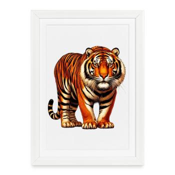 Tiger - Framed poster (27 × 37 cm) - white - Front