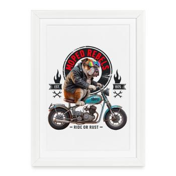 Bulldog Rebel Moto - Affiche encadrée (27 × 37 cm) - blanc - Devant