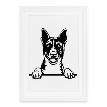 Chef Basenji - Affiche encadrée (27 × 37 cm) - blanc - Devant