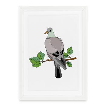 Oiseau coloré - Affiche encadrée (27 × 37 cm) - blanc - Devant