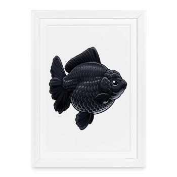 Poisson rouge Jumbo Jumbo du QG d’Oranda noir foncé - Affiche encadrée (27 × 37 cm) - blanc - Devant