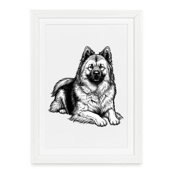 Eurasier | Bon garçon - Affiche encadrée (27 × 37 cm) - blanc - Devant