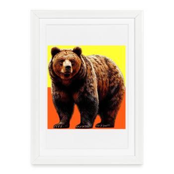 bear - Framed poster (27 × 37 cm) - white - Front