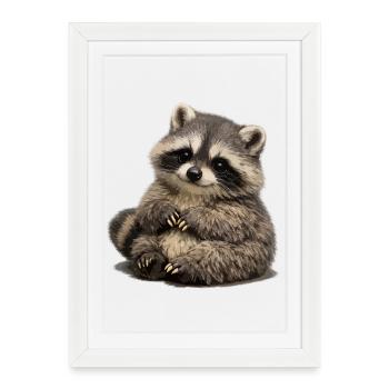 Illustration de peluches de raton laveur souple - Affiche encadrée (27 × 37 cm) - blanc - Devant