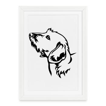 Tête de teckel - Affiche encadrée (27 × 37 cm) - blanc - Devant