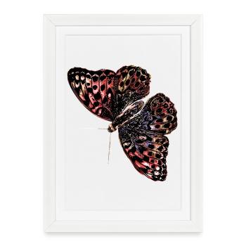 Aquarelle de papillon coloré - Affiche encadrée (27 × 37 cm) - blanc - Devant