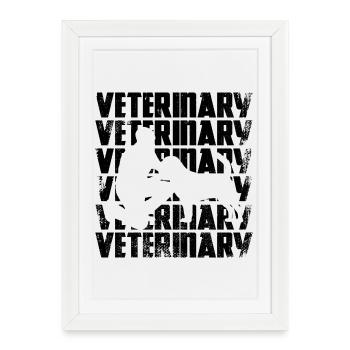 Veterinarian - Framed poster (27 × 37 cm) - white - Front