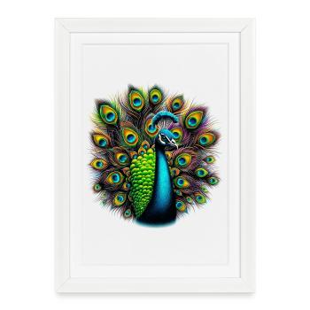 Paon - Affiche encadrée (27 × 37 cm) - blanc - Devant