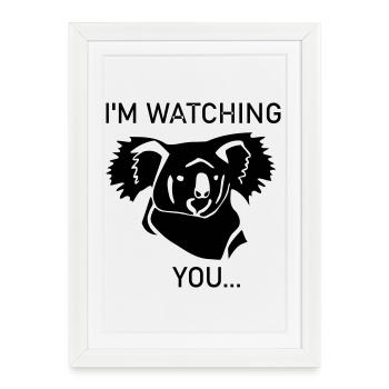 Koala vous regarde - Affiche encadrée (27 × 37 cm) - blanc - Devant
