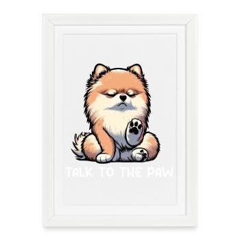Parlez à la patte Poméranien Poméranien Spitz de Poméranie - Affiche encadrée (27 × 37 cm) - blanc - Devant