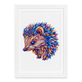 Hedgehog Colorful - Framed poster (27 × 37 cm) - white - Front