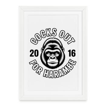 Des dehors pour Harambe - T-shirt mème drôle - Affiche encadrée (27 × 37 cm) - blanc - Devant