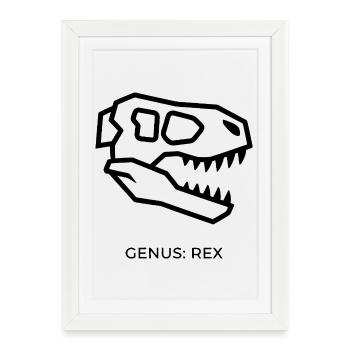 Sspecimen Apex - Affiche encadrée (27 × 37 cm) - blanc - Devant